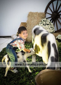 Aniversário 02 Anos Ananias Neto