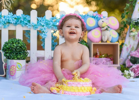 Smash the Cake  Sofia