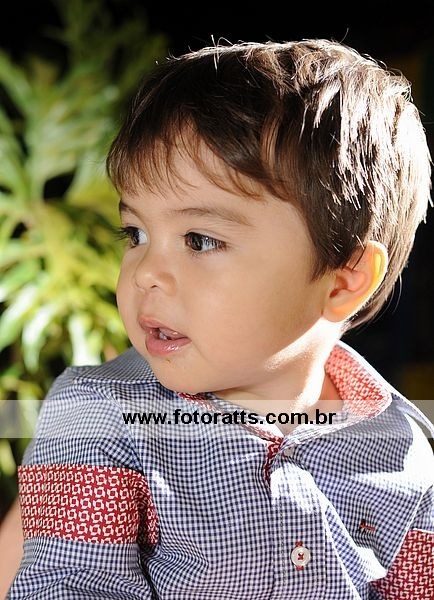 Aniversário 02 Anos Miguel dia 24/08/2013.