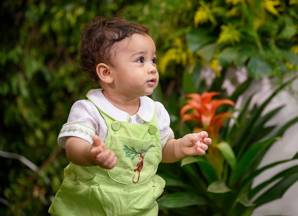 1 Ano Nicolas Borges Diniz