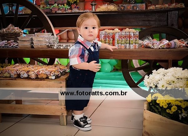 Aniversário 01 Ano Gabriel dia 03/05/2014.