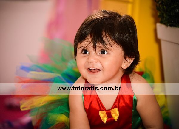 Aniversário 01 Ano Fernanda dia 13/02/2015.