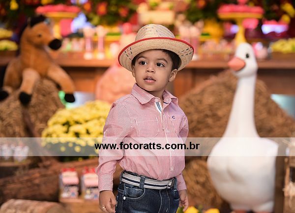 02 Anos Ítalo Thauan dia 02/09/2016 no Alpha Kids.