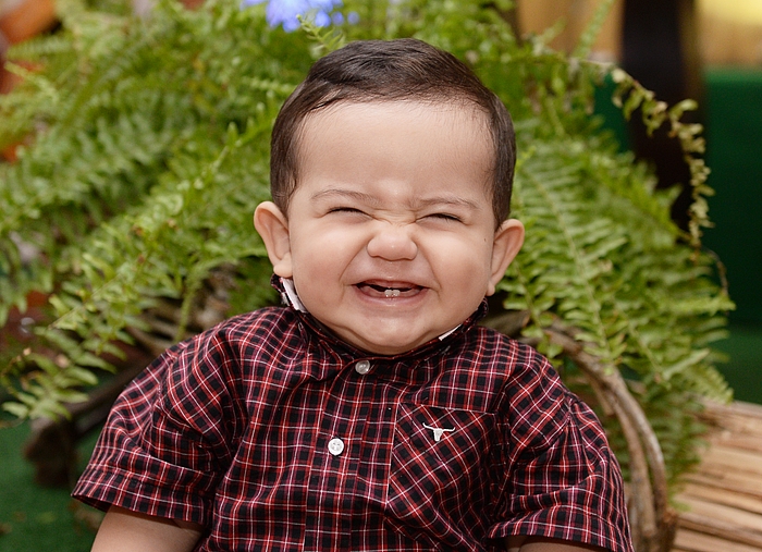 01 Ano Pedro