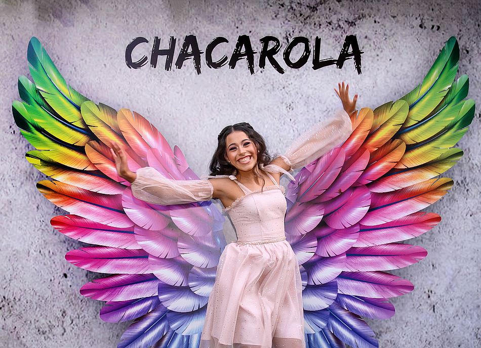 15 Anos Gabriela